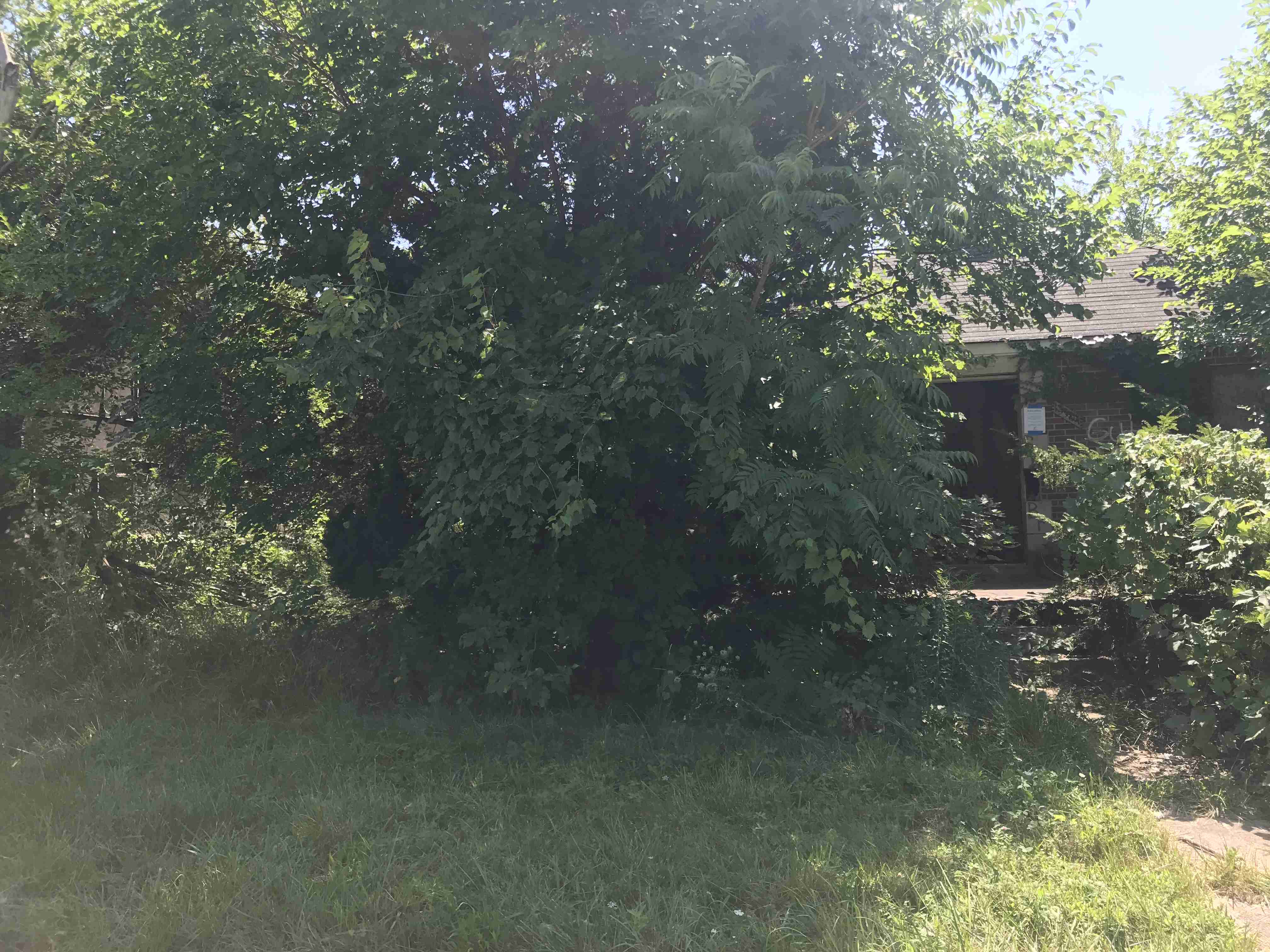 Photo Aug 21, 1 12 06 PM (1).jpg